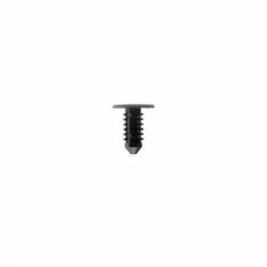 17fo017_1
