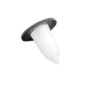 17bm081